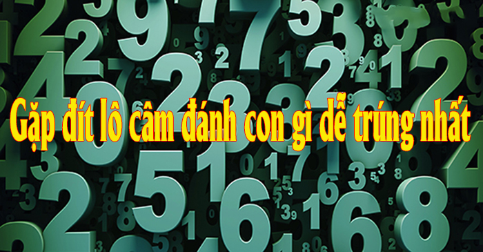 lô câm là gì, bí quyết bắt lô câm đầu đuôi